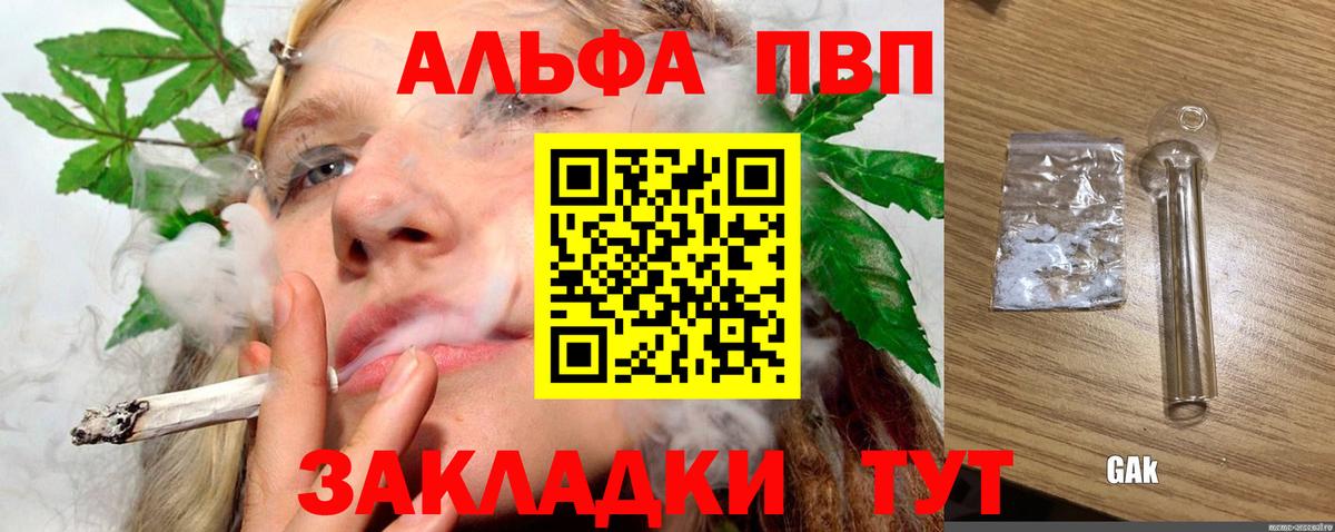 Alfa_PVP СК КРИС Урус-Мартан