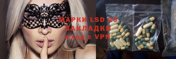 индика Лихославль