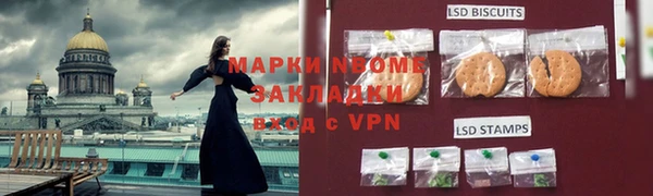СК Новочеркасск