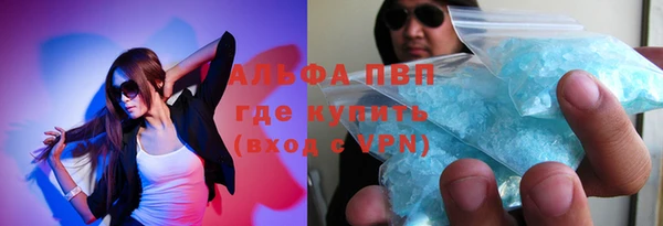 индика Лихославль