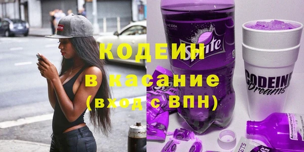 индика Лихославль