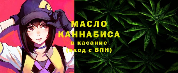 индика Лихославль