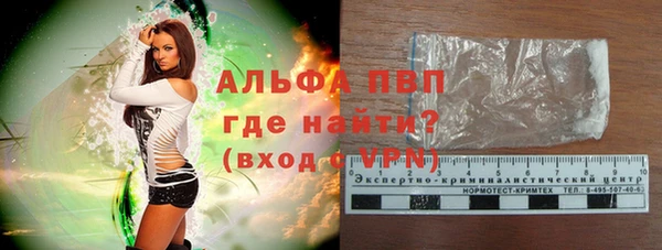 индика Лихославль