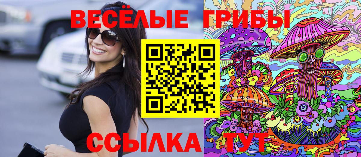 Урус-Мартан  Псилоцибиновые грибы Cubensis  Галлюциногенные грибы Magic Shrooms  Вход с VPN 