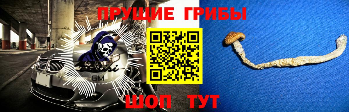 Галлюциногенные грибы Magic Shrooms  Псилоцибиновые грибы ЛСД  Урус-Мартан 