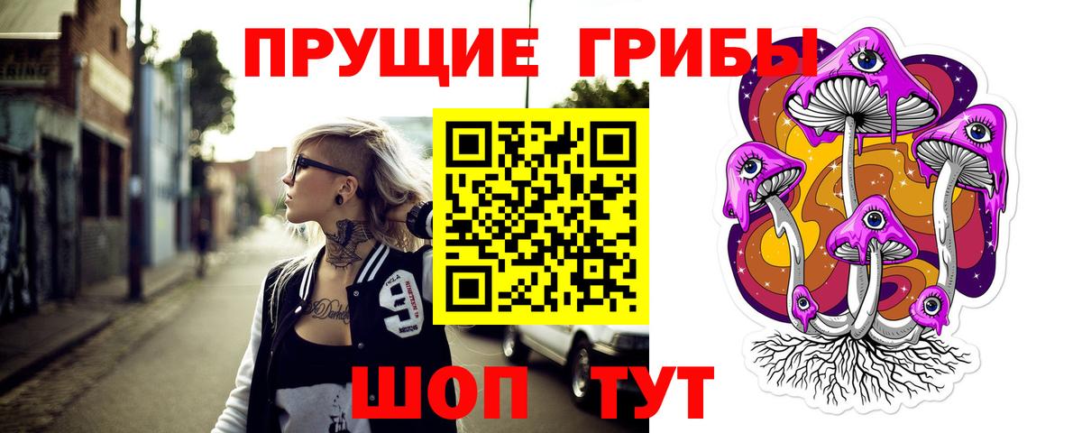 Псилоцибиновые грибы Psilocybe Урус-Мартан