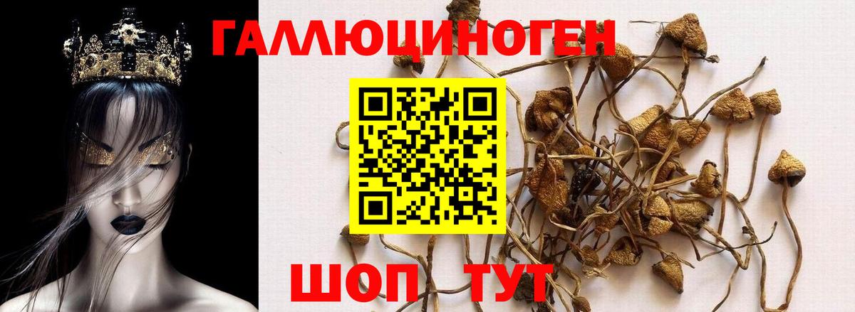 Галлюциногенные грибы GOLDEN TEACHER Урус-Мартан